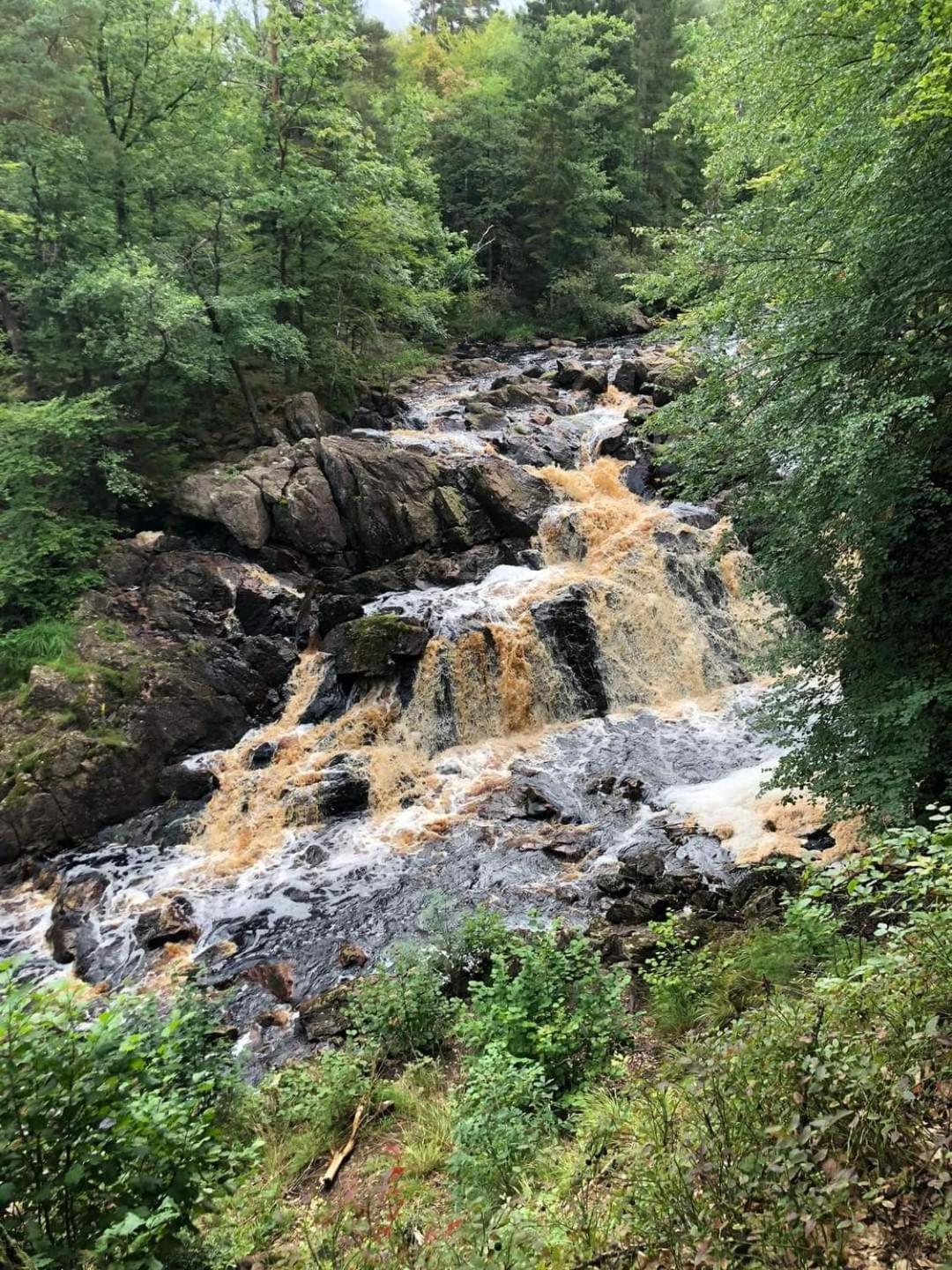 Tallhoejden Hotel & Cottage Lodge Simlångsdalen エクステリア 写真